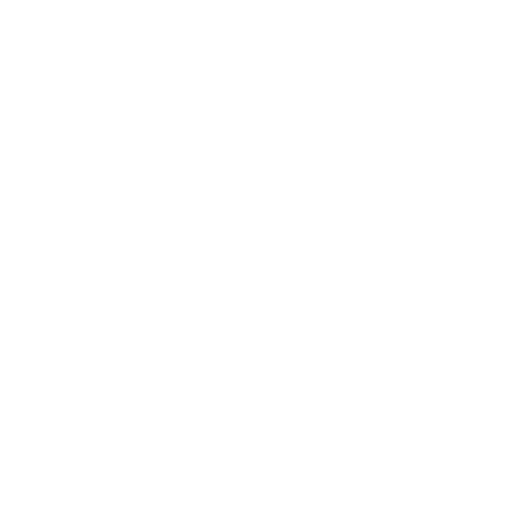 Seguridad